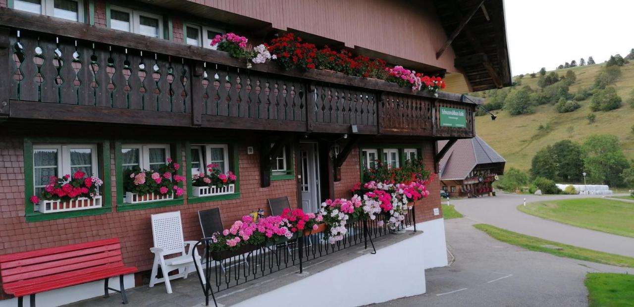 Schwarzwaldhaus Kathi Apartment Todtmoos Luaran gambar