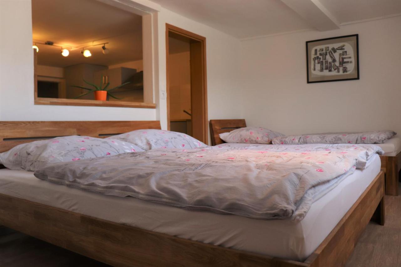 Schwarzwaldhaus Kathi Apartment Todtmoos Luaran gambar