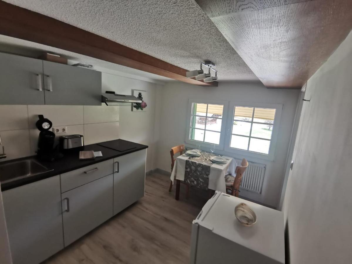 Schwarzwaldhaus Kathi Apartment Todtmoos Luaran gambar
