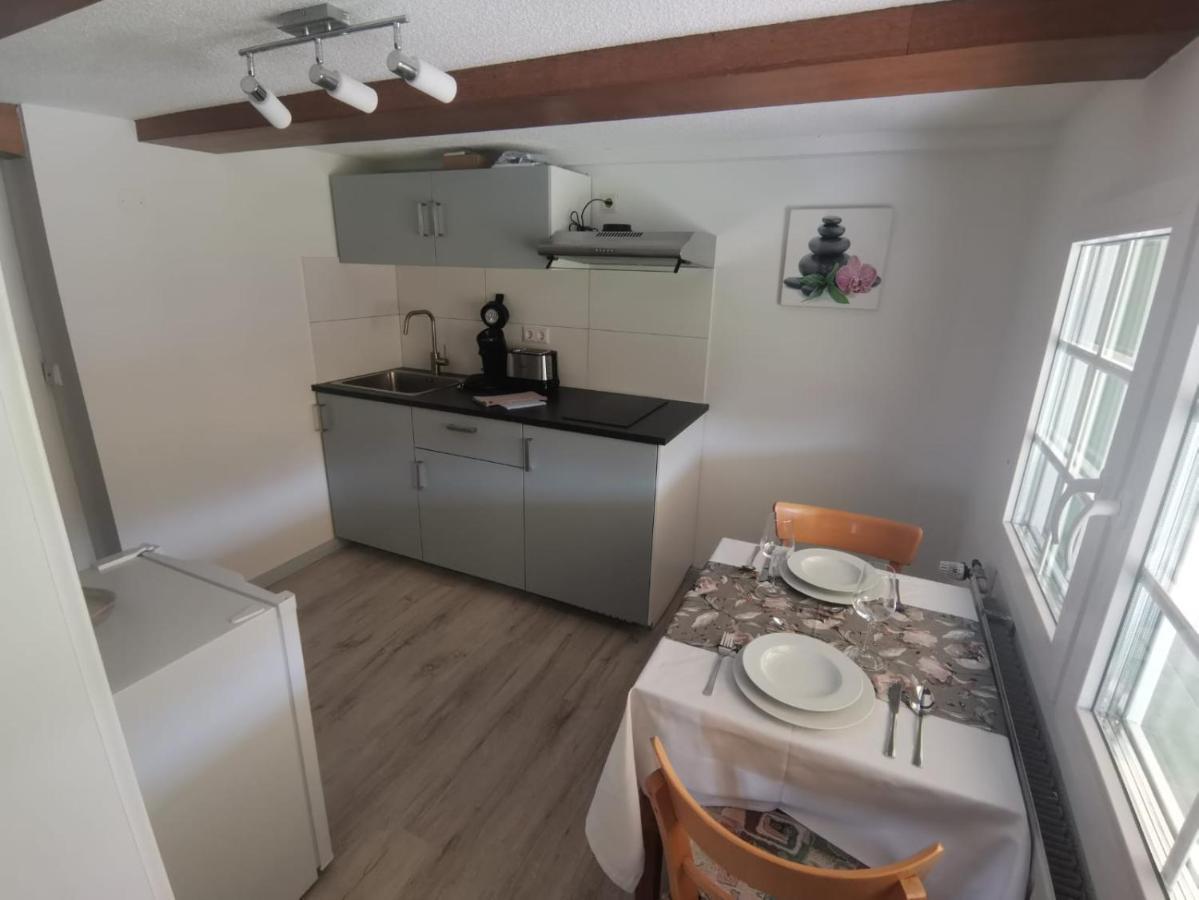 Schwarzwaldhaus Kathi Apartment Todtmoos Luaran gambar
