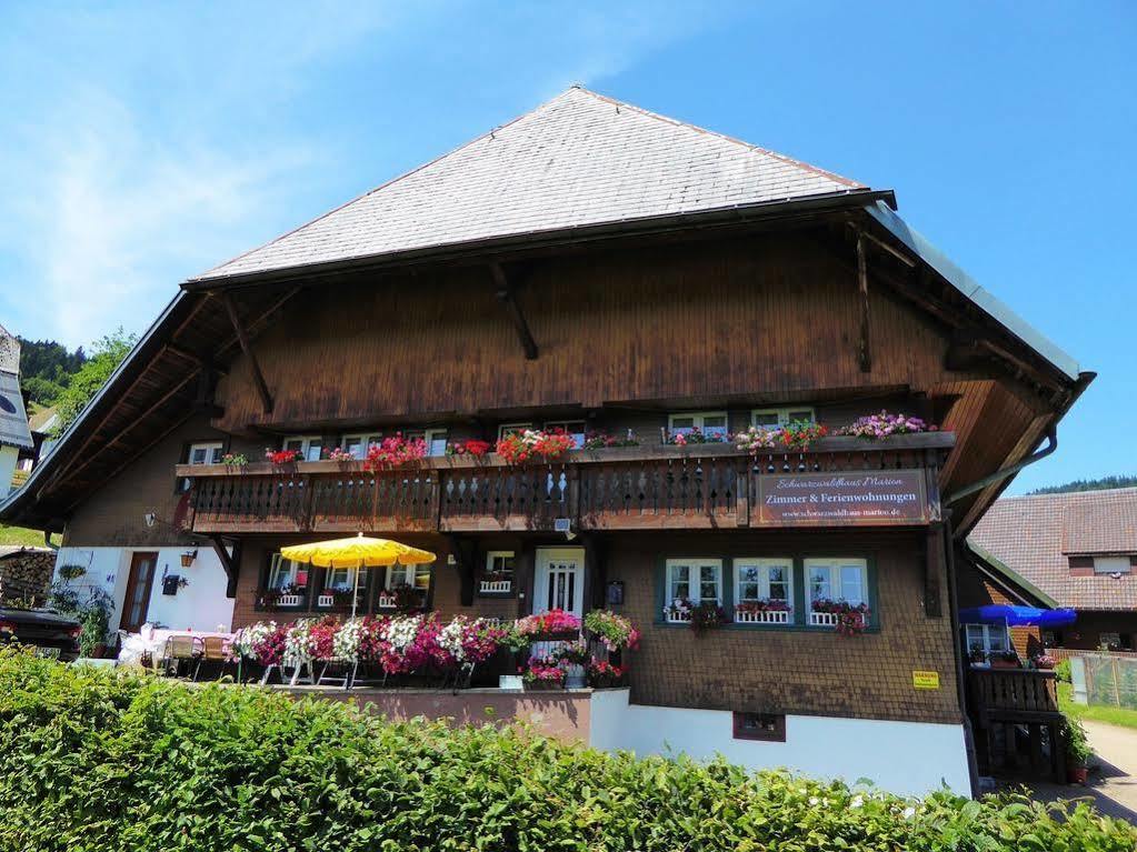 Schwarzwaldhaus Kathi Apartment Todtmoos Luaran gambar