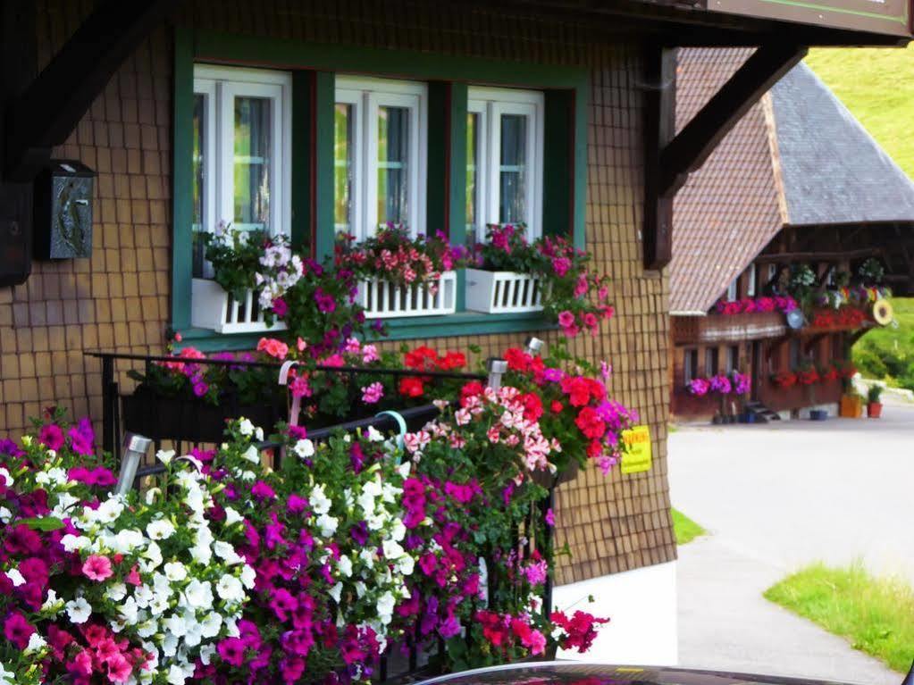 Schwarzwaldhaus Kathi Apartment Todtmoos Luaran gambar