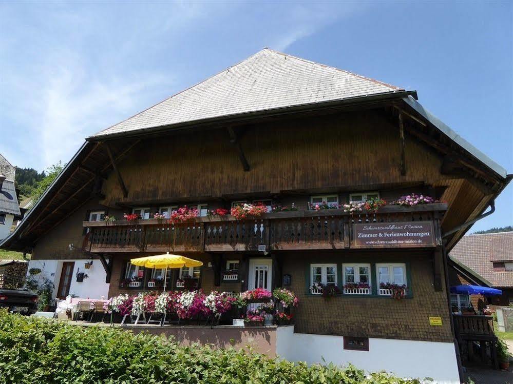 Schwarzwaldhaus Kathi Apartment Todtmoos Luaran gambar